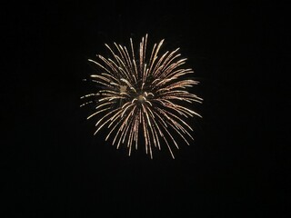 Fototapeta premium fireworks in the sky