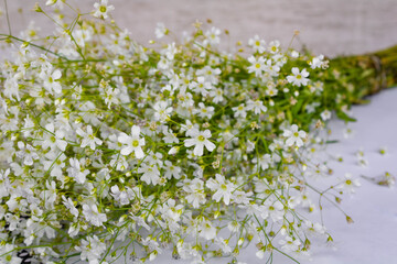 Lying bouquet of white small field flowers