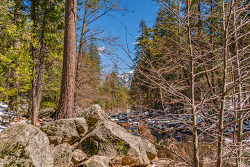 Yosemite State Park - Winter Season