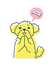 おやつをおねだりするプードル