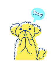 おやつをおねだりするプードル