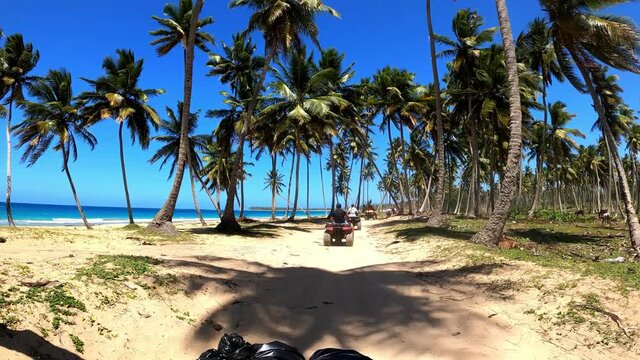 caravan of quad bike on the sand near the palm trees