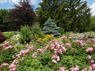 Landscape of the park with flower beds