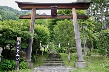 Obraz premium 山の鳥居