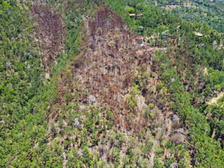 Burned mountain in the Dominican Republic by a massive forest fire
