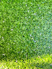 wood, texture, wooden, old, brown, pattern, wall, abstract, plank, surface, textured, tree, rough, timber, nature, board, natural, material, weathered, grunge, grain, panel, floor, backdrop, vintage