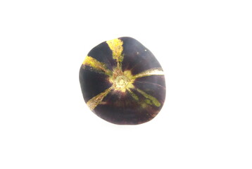 Rare variety of tomato, blue tomato on white background