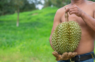 Asian man farmer holding Durian is a king of fruit in Thailand.