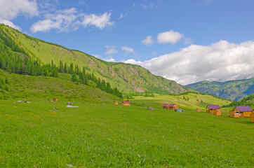 Fototapeta na wymiar Beautiful landscape tourist base with houses among Altai mountains