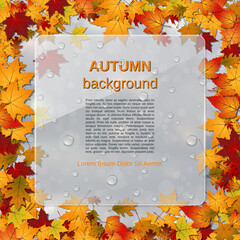 Autumn style vector illustration. Abstract blurred background with colorful leaves and glass billboard