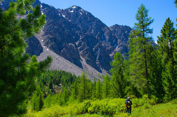 beautiful landscape of Mount Altai and forest Russia
