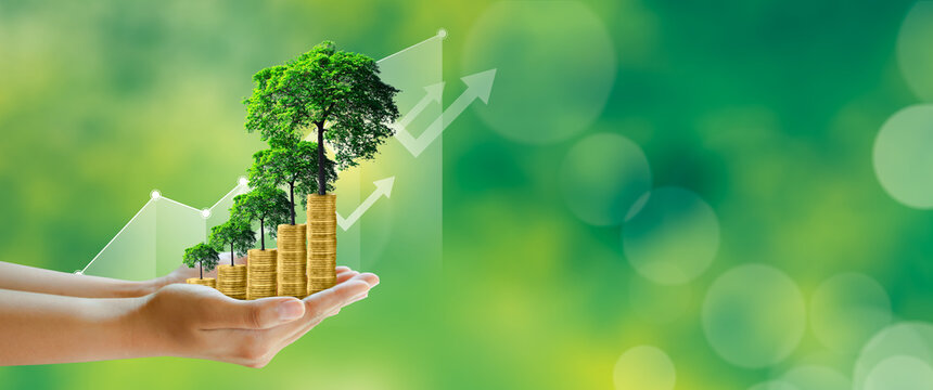 Businessman hand holding step of coins stacks with tree growing on top in nature green background. Money saving, investment, family planning, money growth, business success Concept.