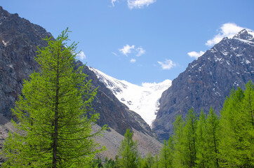 Mount Altai landscape glacier to Aktru Russia

