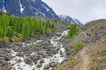 Fototapeta premium Mount North Chuya Range and small Aktru River Mountain Altai Siberia