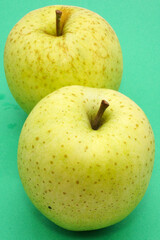 黄緑色のリンゴ 王林
