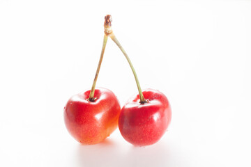 Rainier cherries in white background
