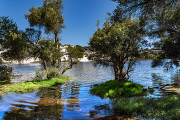 Moore River is a river in the Wheatbelt region of Western Australia