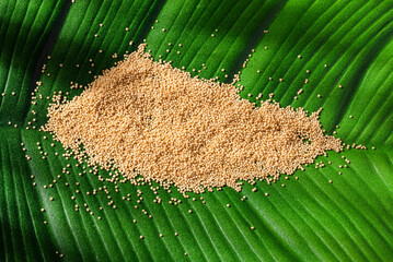 Organic amaranth seeds - Amaranthus. Healthy food