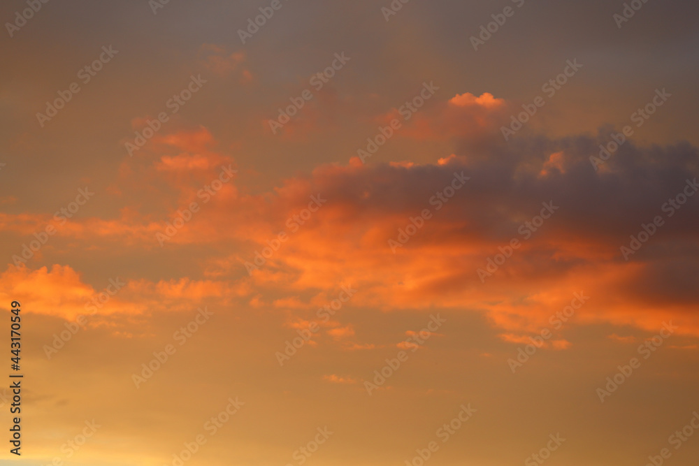 Wall mural beautiful sky with orange clouds. sunset light