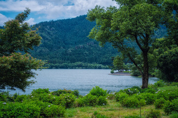 滋賀県長浜市の余呉湖の初夏の風景です