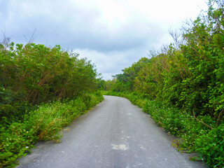 波照間島の海がある風景