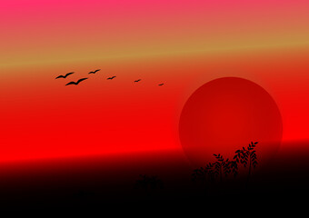 birds on sunset