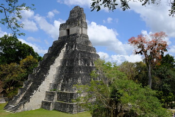 Guatemala Tikal National Park - The Great Jaguar Temple Pyramid - Templo del Gran Jaguar