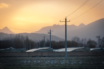 sunset over the river