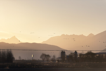 sunrise over the lake