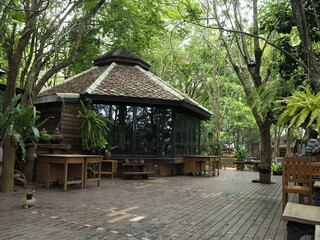 Coffee shop decorated with wood in the midst of nature.