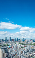 Fototapeta premium 東京風景