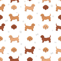 Fawn brittany basset seamless pattern. Different coat colors and poses set.