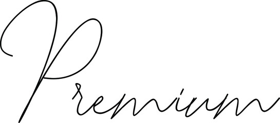 Premium Vector Script and Cursive Handwritten Typography 
For Designs Brochures Banner Flyers and T-Shirts.