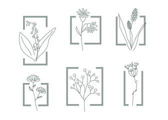 Wild flower icon. Natural cosmetics logo element