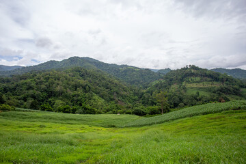 Fototapeta na wymiar green farmland on the mountain sky background image for the text above.