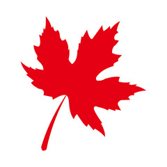 Fototapeta premium maple leaf logo icon vector symbol