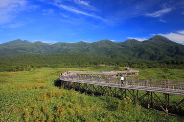 Obraz na płótnie Canvas Mt.Rausu, Shiretoko Peninsula, world Heritage 真夏の知床半島、羅臼岳登山