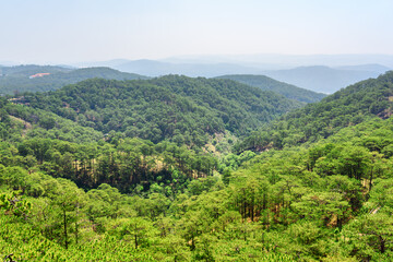 Fototapeta na wymiar Aerial view of evergreen pine woods around Da Lat, Vietnam