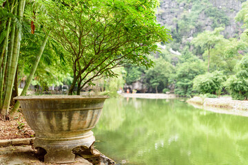 Fototapeta premium Scenic green tree growing in pot near artificial pond, Vietnam