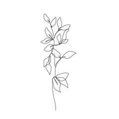 Fototapeta na wymiar Continuous Line Drawing of Leaves Branch Black Sketch Isolated on White Background. Simple Leaf One Line Illustration. Minimalist Botanical Drawing. Vector EPS 10.