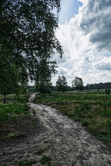 Dune path in the Diersfordt Veen moor