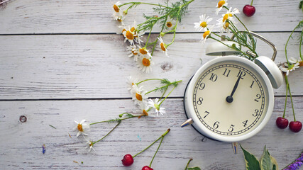 Summer time background. White alarm clock arrows noon on a wooden table around wildflowers fresh...