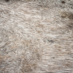 old wood plank texture can be use as background