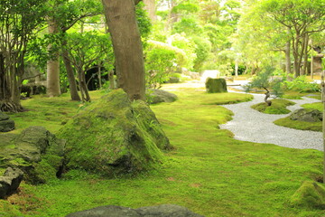 日本　風景　庭園