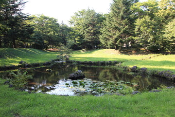 Fototapeta premium 夏の軽井沢。森の中の池。