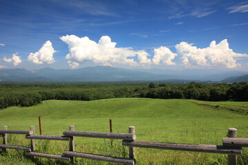 Fototapeta na wymiar 北軽井沢の夏。浅間牧場の風景。放牧場の向こうに見える信州の山と、白い雲、青い空。