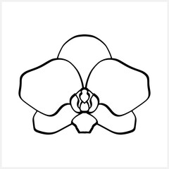 Doodle orchid icon isolated on white. Hand drawn sketch. Flower coloring page book. Vector stock illustration. EPS 10 