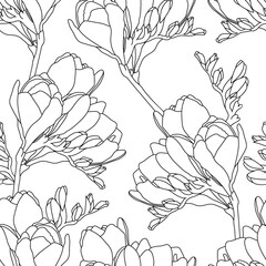 Seamless vector pattern with black line freesia on a white background - obrazy, fototapety, plakaty