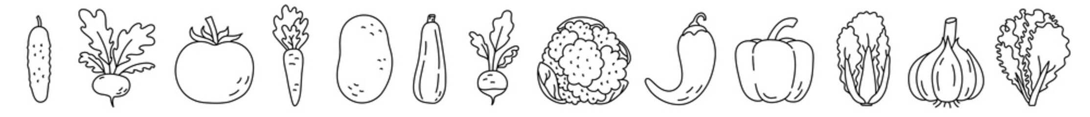 Vegetable sketch. Cucumber, turnip, tomato and carrot. Potato, zucchini, radish and cauliflower. Pepper, garlic and lettuce. Black line vector set. Hand drawn illustration for laser cut
