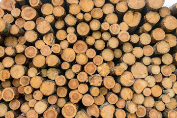 Background from stacked logs close up
